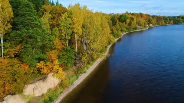 Vuelo sobre el lago y el bosque en otoño — Vídeo de stock