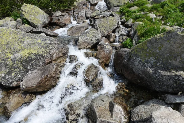 Creek Running Water Mountain — Stock Photo, Image