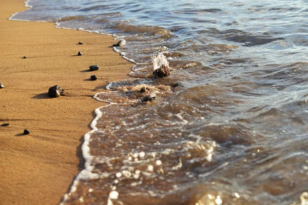 Крупним Планом Вид Каменів Пісок Омитий Морськими Хвилями — стокове фото
