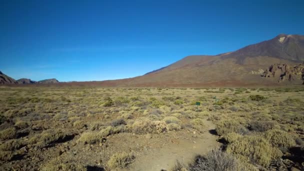 Panorama de montañas de la zona del Teide vulcano — Vídeos de Stock