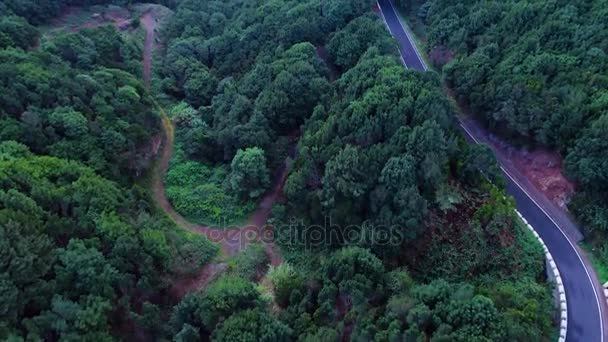 Remontage routier en montagne — Video