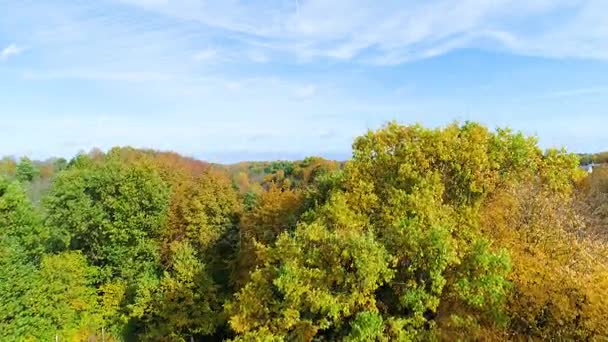 Політ над озером і лісом восени — стокове відео