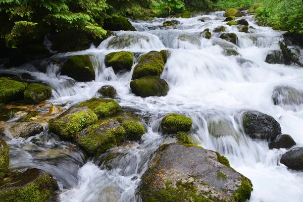 Arroyo Con Agua Corriente Bosque Montaña — Foto de Stock