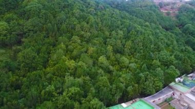 Orman dağlarında üzerinde uçuş