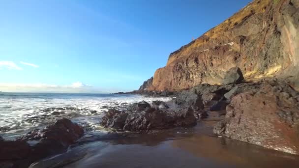 Passeggiando lungo la spiaggia — Video Stock