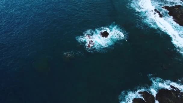 Vuelo sobre la orilla del mar en Tenerife — Vídeo de stock