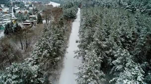Letecký pohled na auta v zimě lese — Stock video