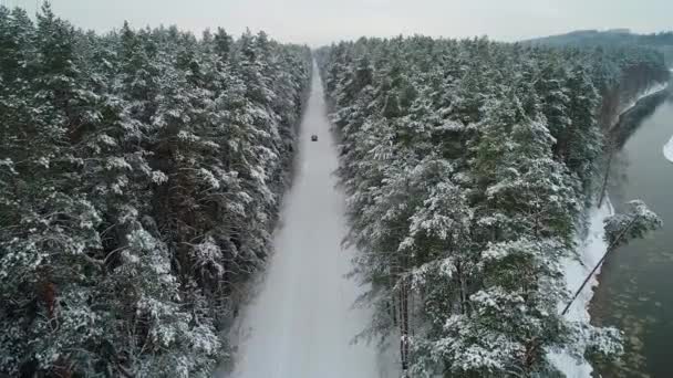 Vista aérea del coche en movimiento en el bosque de invierno — Vídeo de stock