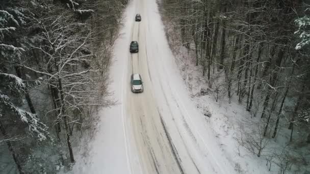 Vista aérea do carro em movimento na floresta de inverno — Vídeo de Stock