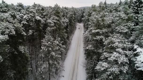 Vista aérea del coche en movimiento en el bosque de invierno — Vídeo de stock