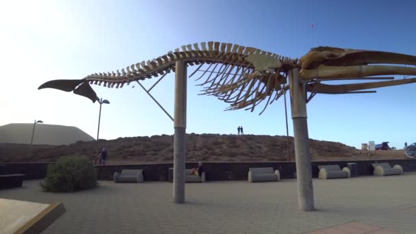 Esqueleto de una ballena al norte de Tenerife — Vídeo de stock