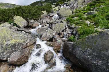 dağda akan su ile dere