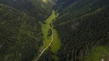 Ormanlık dağlar yamaçları arasında yol