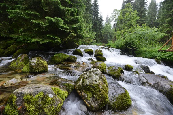 Riacho Com Água Corrente Montanha — Fotografia de Stock