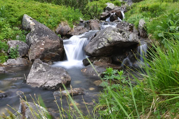 Riacho Com Água Corrente Montanha — Fotografia de Stock