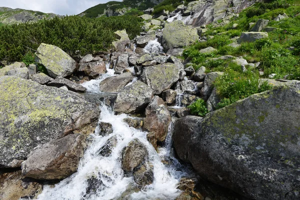 dağda akan su ile dere