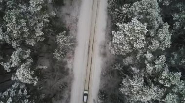 Kış ormanda hareketli araba havadan görünümü