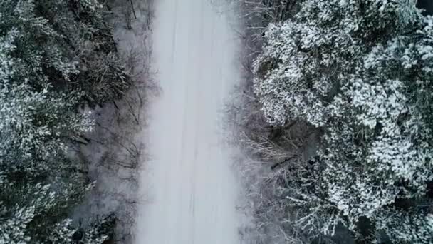 Luchtfoto van auto verplaatsen in winter forest — Stockvideo