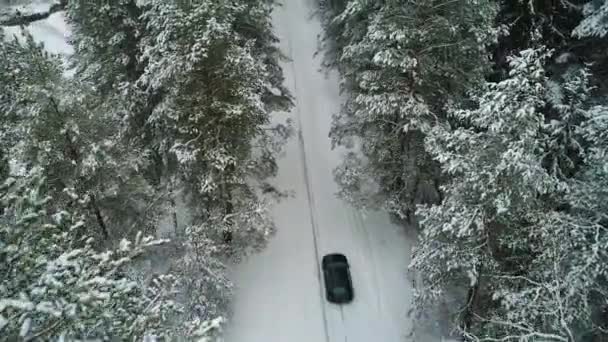 Flygfoto över bil inflyttning vintern skog — Stockvideo