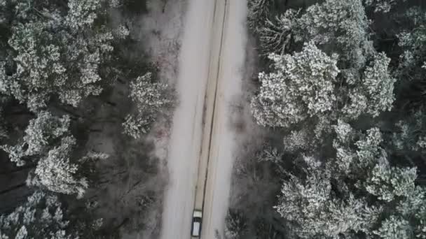 Vista aérea do carro em movimento na floresta de inverno — Vídeo de Stock