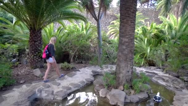 Vrouwen lopen in tropische park — Stockvideo