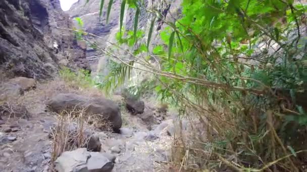 Senderismo en un profundo barranco — Vídeo de stock