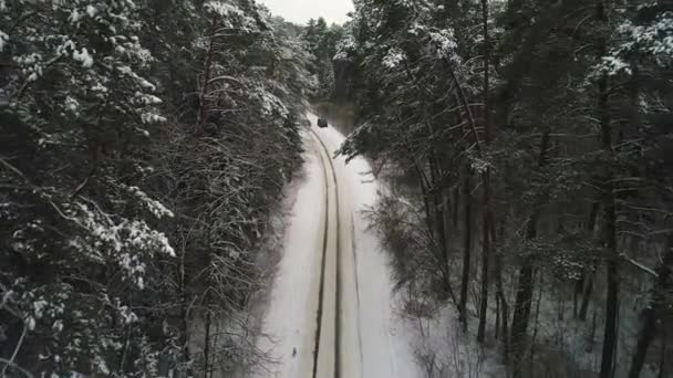 겨울 숲에서 이동 하는 자동차의 항공 보기 — 비디오