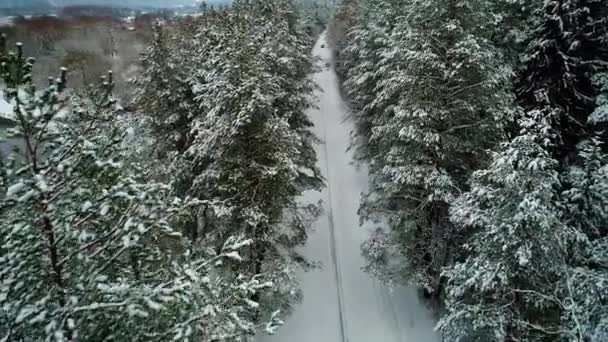 Luchtfoto van auto verplaatsen in winter forest — Stockvideo