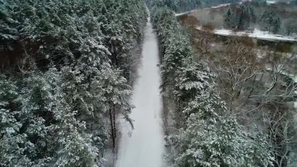 Kış orman ve nehir havadan görünümü — Stok video