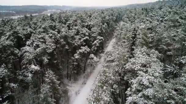 Luftaufnahme des verschneiten Winterwaldes — Stockvideo