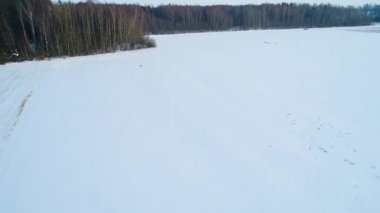 Karaca kış alanlardaki grup