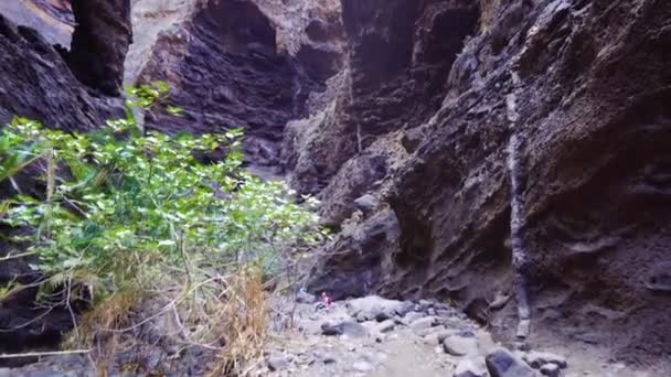 深い渓谷でのハイキング — ストック動画