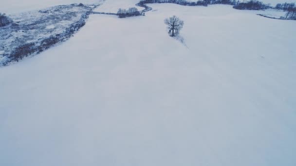 Přelet nad oblastí v zimě — Stock video
