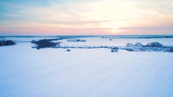 Vlucht over de filds in de winter — Stockvideo