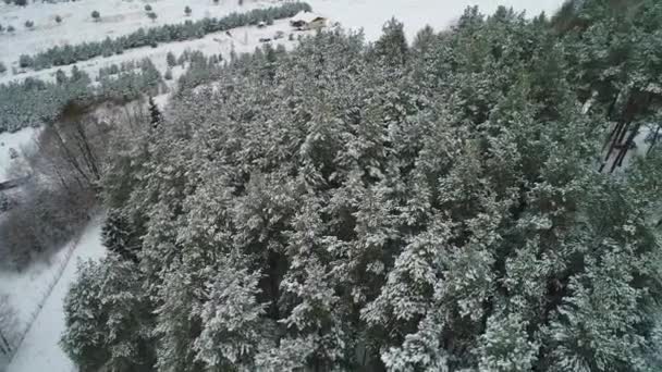 Vista aérea del bosque nevado de invierno — Vídeos de Stock