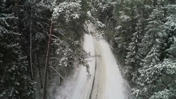 Vista aérea del bosque nevado de invierno — Vídeo de stock