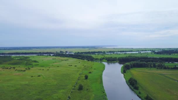 강 초원에 비행 — 비디오