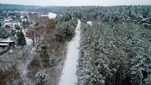 Luftaufnahme eines Autos, das sich im Winterwald bewegt — Stockvideo