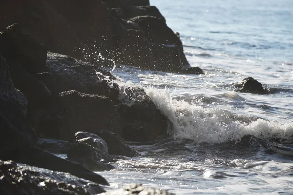 Rocks and stony coast. — Stock Photo, Image