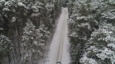 Kış ormanda hareketli araba havadan görünümü