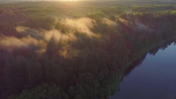 Terra aerea di fiume in prati verdi — Video Stock