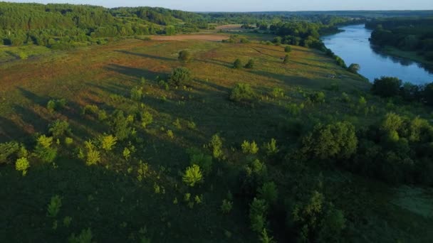 Aerial landcape of river in green meadows — Stock Video