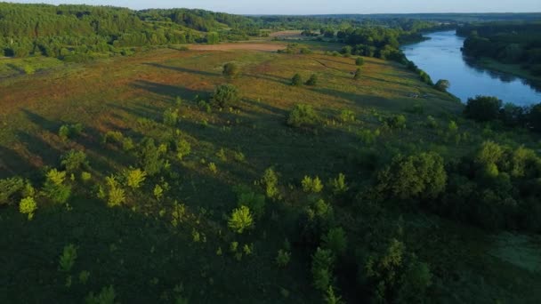 Paisaje terrestre aéreo del río en prados verdes — Vídeo de stock