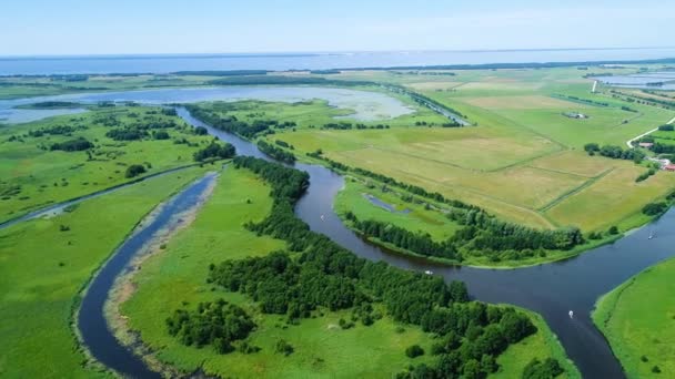 Flight over river in meadows — Stock Video