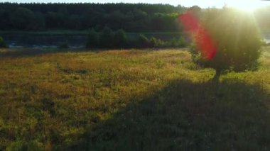 ağaçlarda meadows havadan görünümü