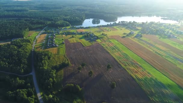 Champ de blé vue aérienne — Video