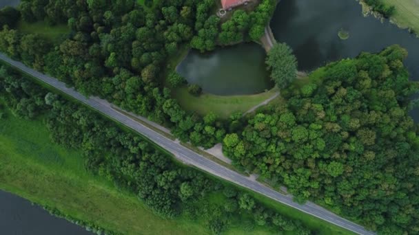 Volo sopra il vecchio castello nella foresta verde — Video Stock