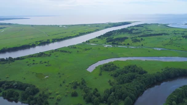 vol au-dessus de la rivière dans les prairies 