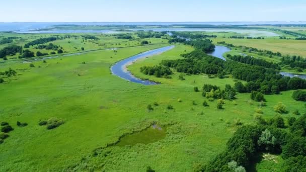 Flight over river in meadows — Stock Video