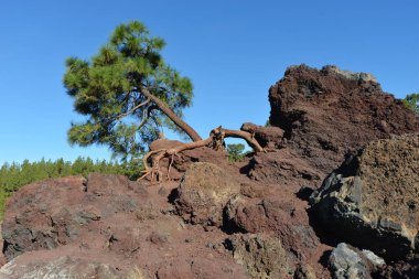 dağların tepesine yukarıda gökyüzü. Dağ manzarası